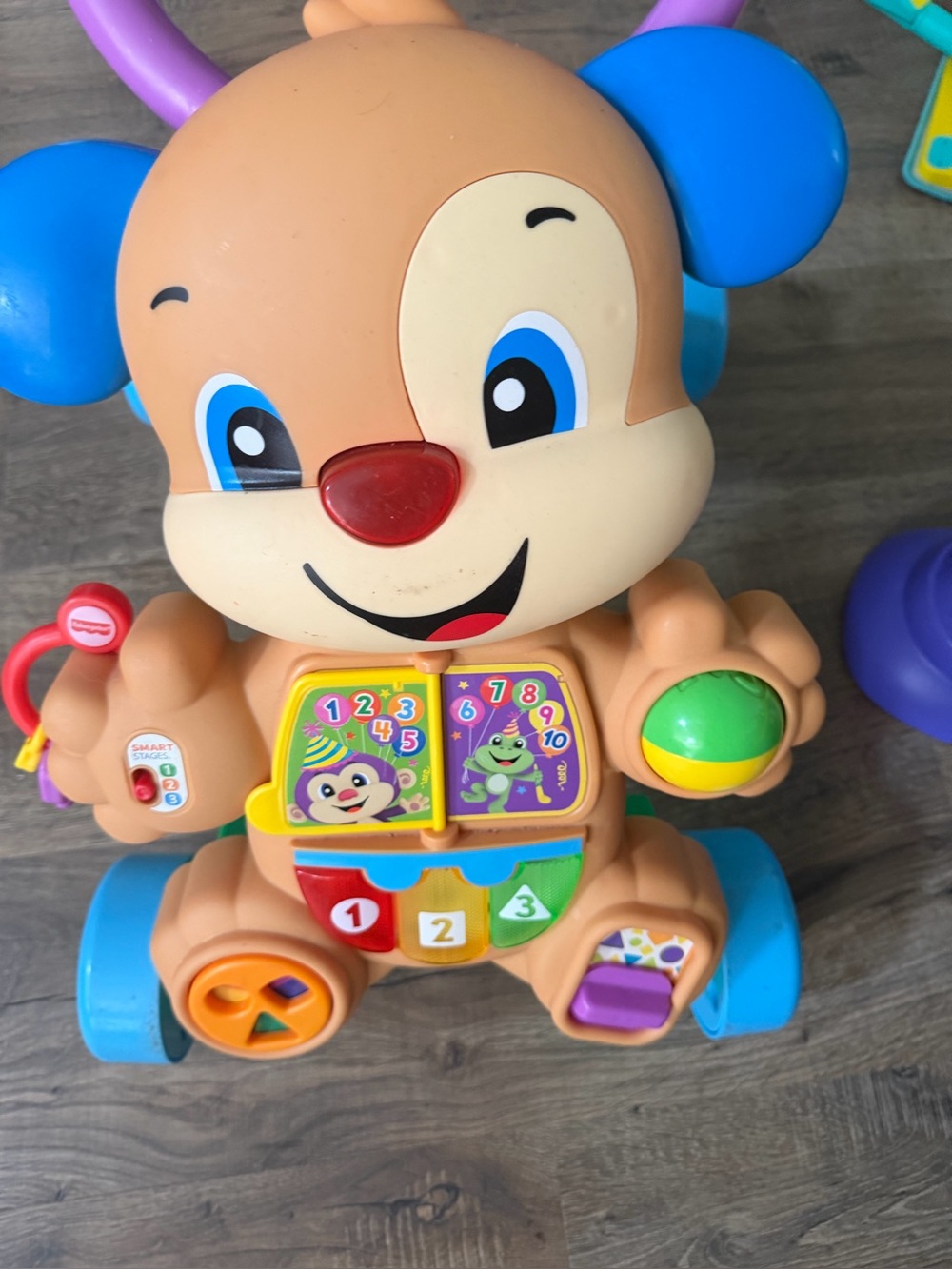 Fisher-Price Musical Learning Puppy walker - Brown & Blue